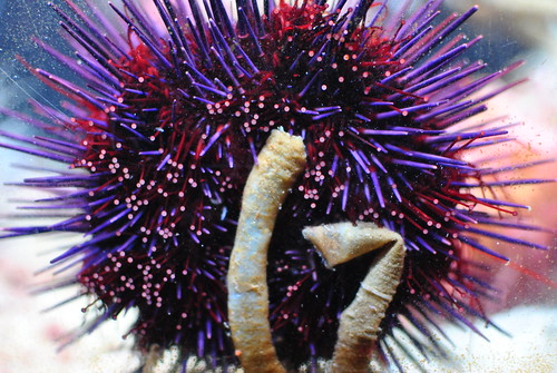 Educational activities in Boston, MA | Ford Dealership in Norwood, MA