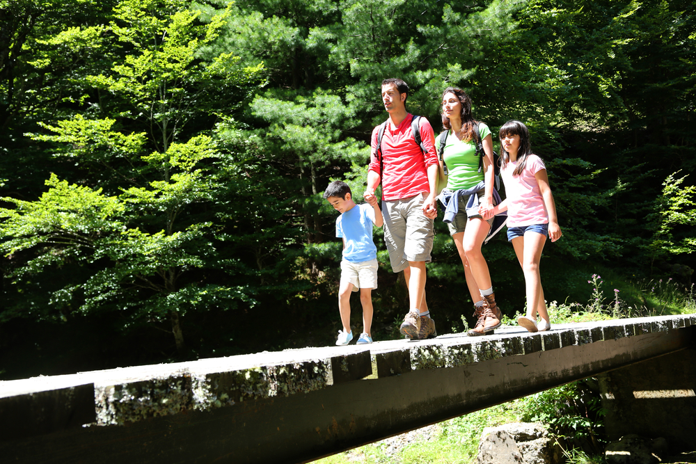 a family walking on a bridge in a park
