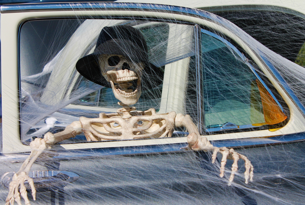 A halloween themed picture with a plastic skeleton covered in cobwebs is hanging out of a car window. - Jack Madden Ford Norwood, MA