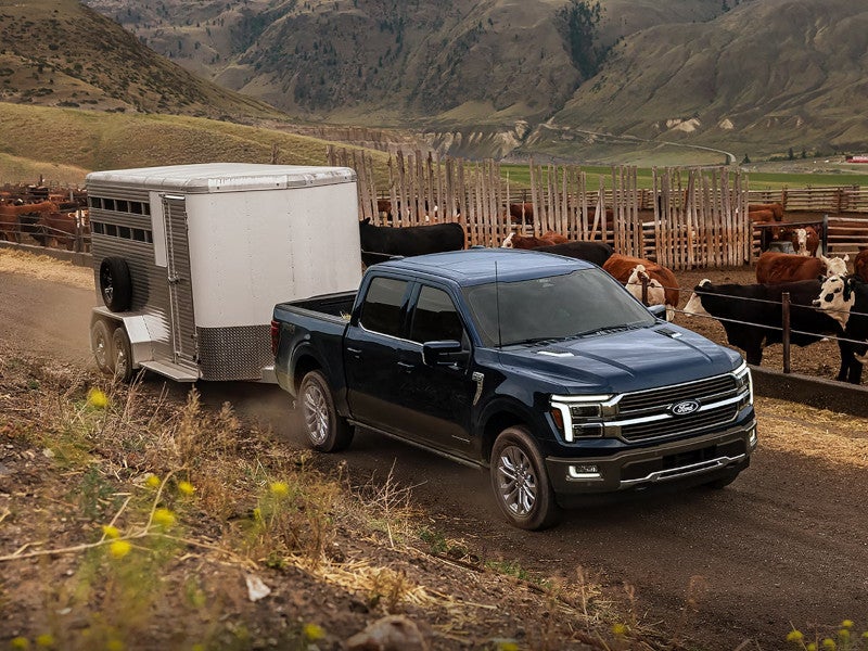 Ford Vehicle